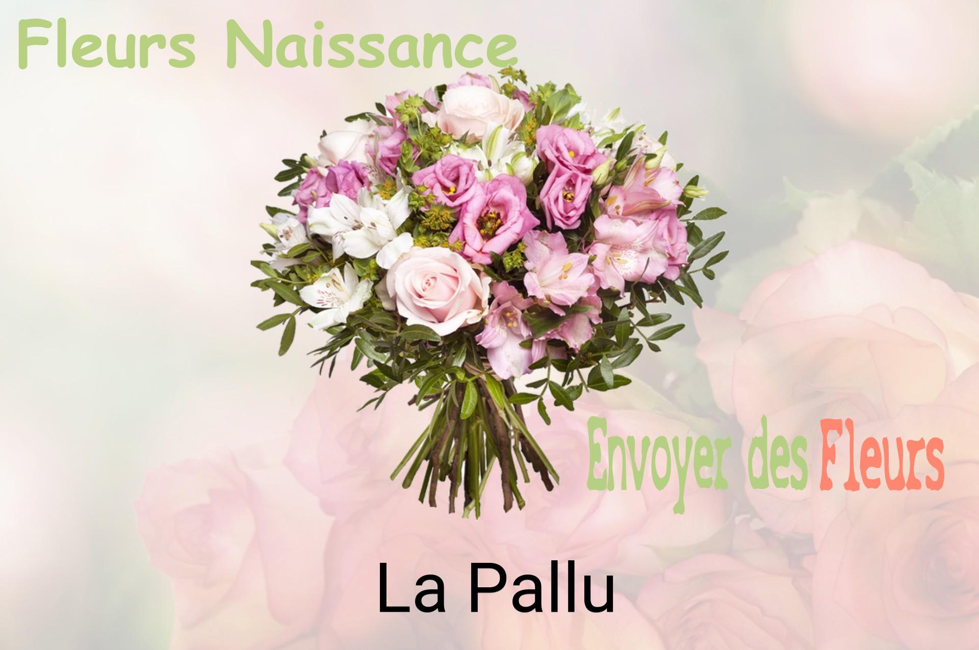 Bouquet de fleurs de naissance livré à La Pallu