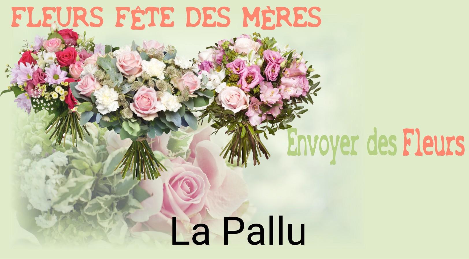 Bouquet de Fête des Mères livré à La Pallu